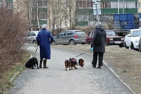 Неожиданная встреча 53