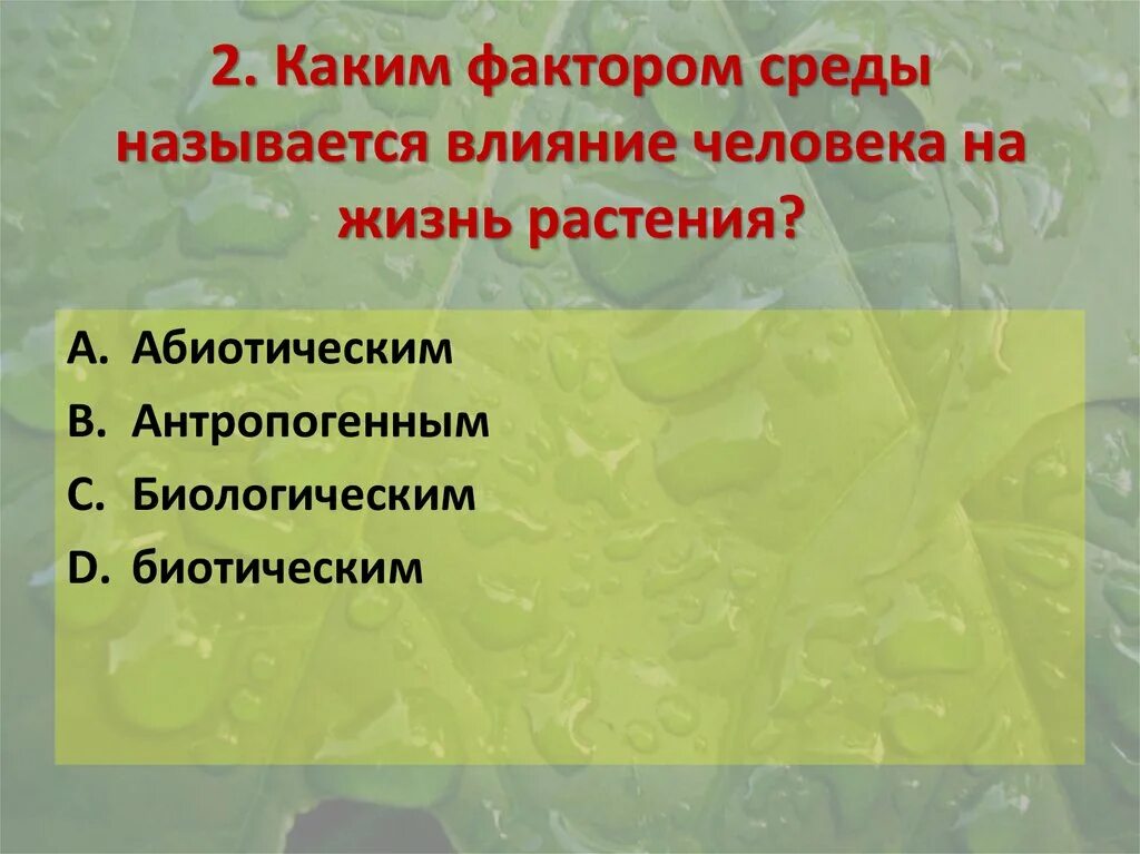 Факторы жизненной среды. Каким фактором среды называется влияние человека на жизнь растений. Влияние среды на растения. Среда жизни человека. Влияние деятельности человека на растения.