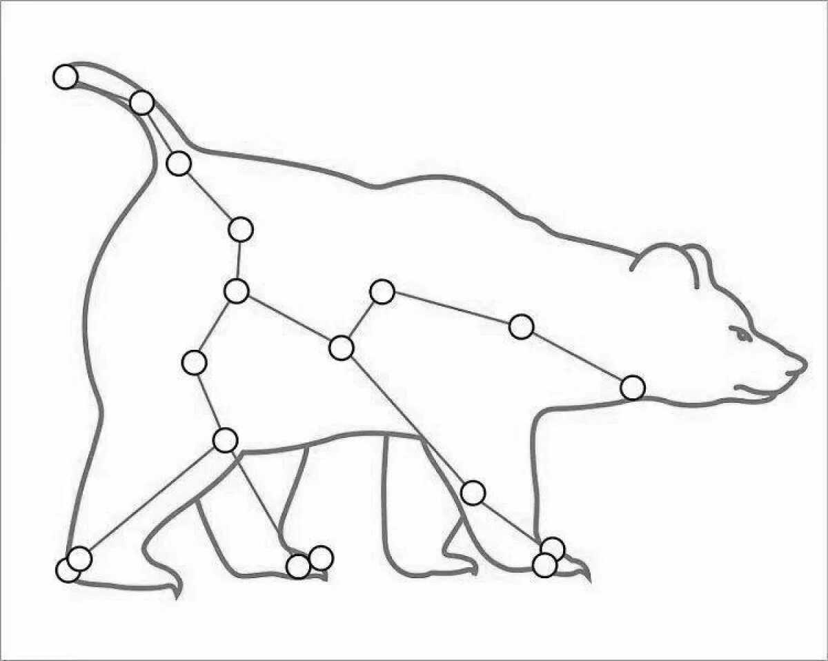 Созвездие медведица для детей. Созвездие малой медведицы схема. Контур созвездия большой медведицы. Большая Медведица Созвездие контур. Большая Медведица Созвездие схема для детей.