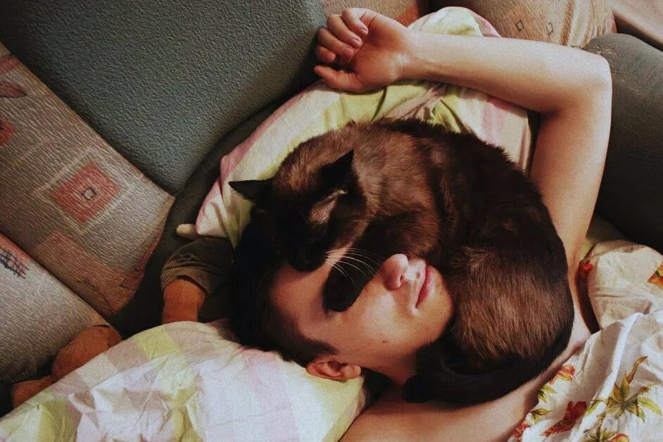Почему кот ложится рядом спать. Кот лежит.