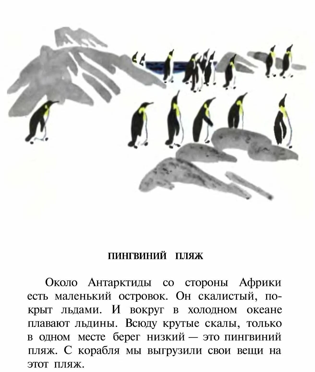 Рассказ про пингвинов Снегирев. Г Снегирева про пингвинов рассказ. Чтение рассказа Снегирева Пингвиний пляж. Снегирев рассказы про пингвинов читать