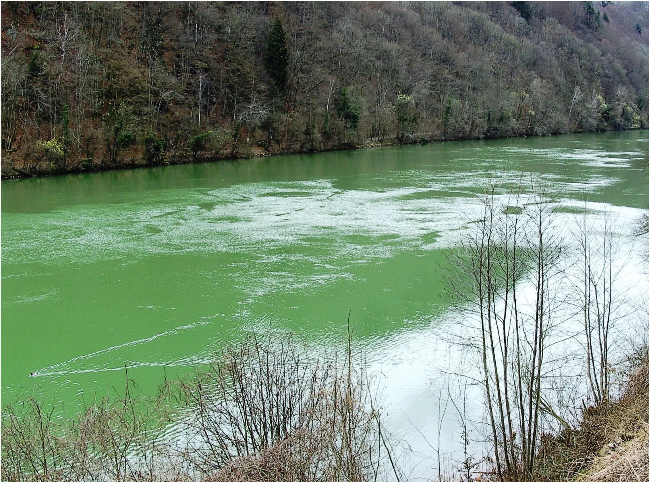 Лаба зеленая. Река Грин Ривер тела. Снов (река). Цвет воды в реке. Река бачат.