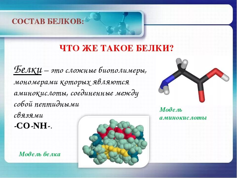 Белок 6 класс биология. Структура белков химия 10. Белки состав химия. Белки презентация. Белки определение химия.