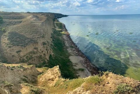 Что такое лимана про