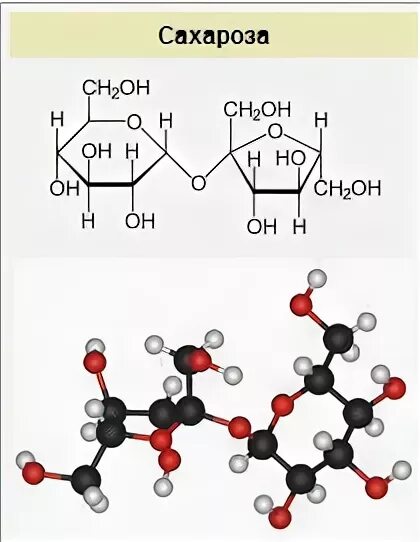 Сахароза Геншин. Сахароза из Genshin Impact. Сахароза и Венти Геншин. Молекула сахарозы.