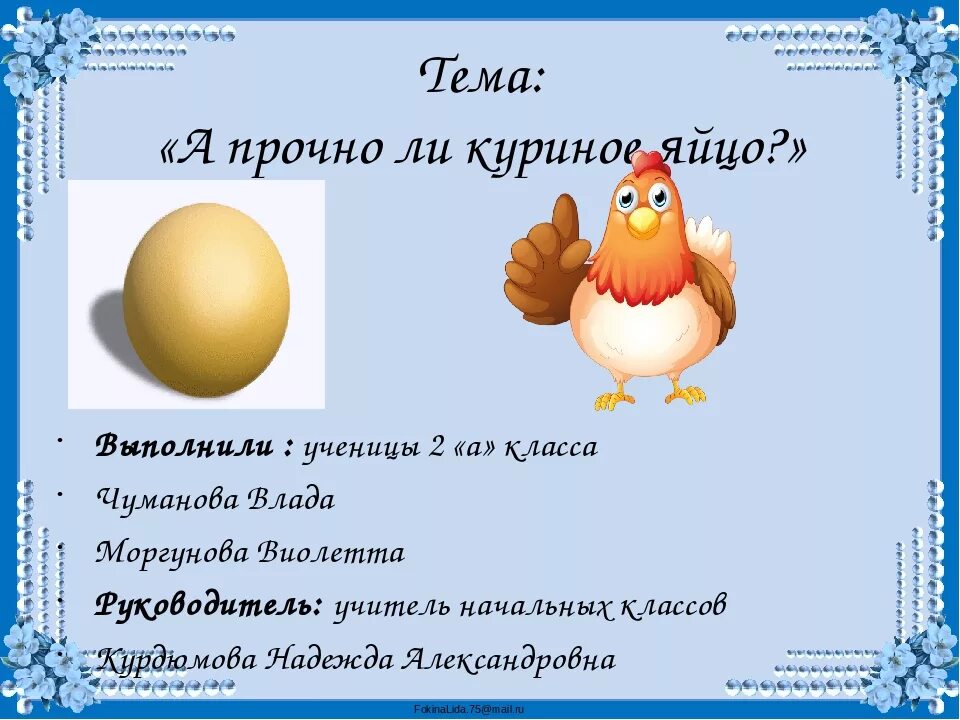 А прочно ли куриное яйцо проект. Исследовательская тема а прочно ли куриное яйцо. Презентация на тему яйцо куриное. Яйца для презентации. Пословицы яичко