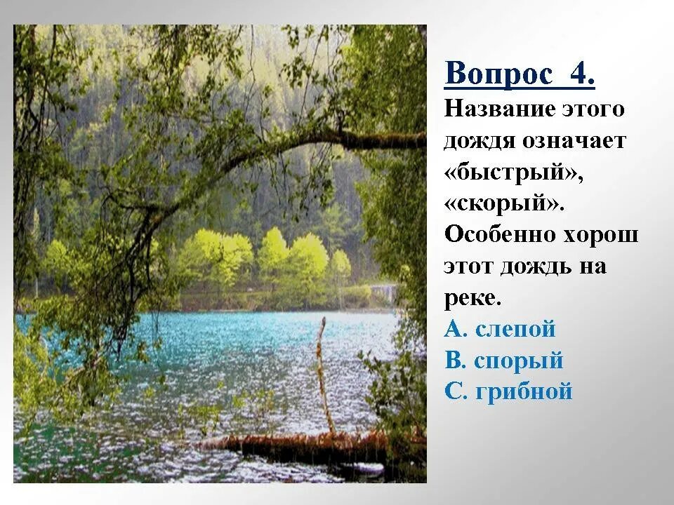 Произведения о Дожде 3 класс. Какие бывают дожди. Паустовский о Дожде. Грибной дождь Паустовский.