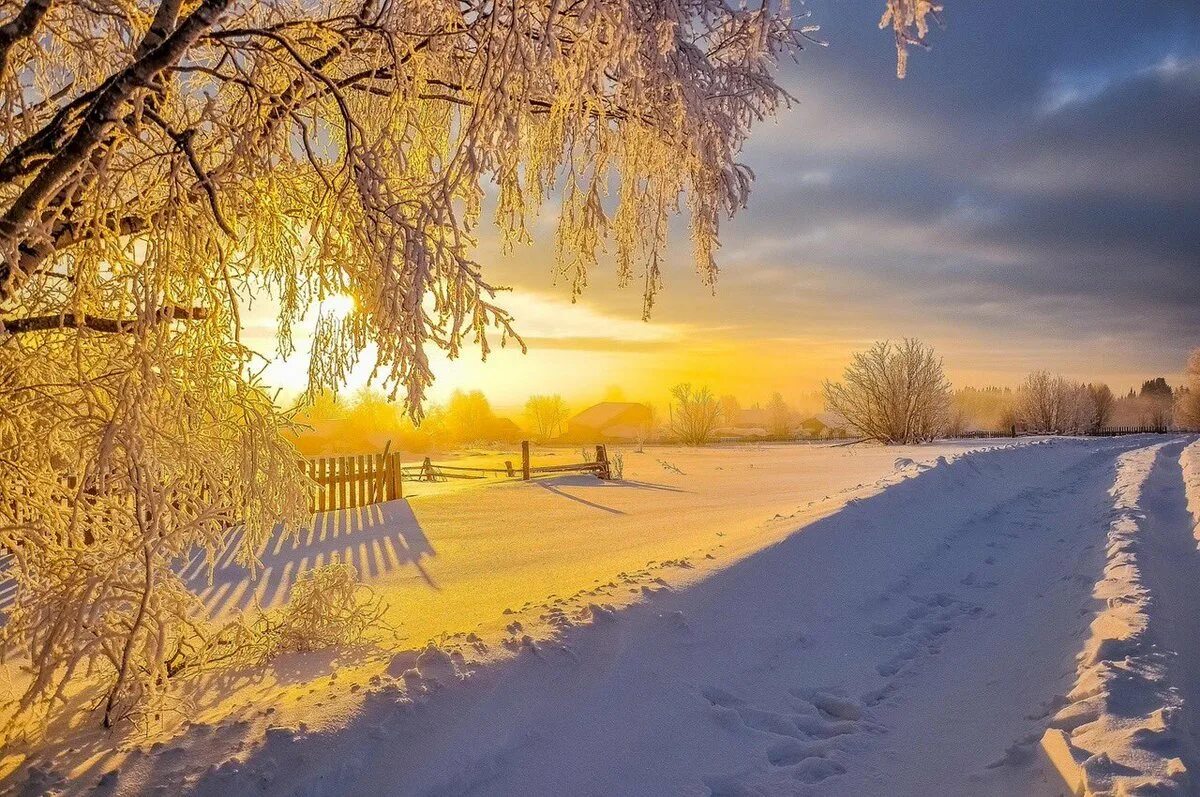 Снежное утро красивые. Зимнее утро. Солнечный зимний день. Зима солнце. Зимний Солнечный пейзаж.