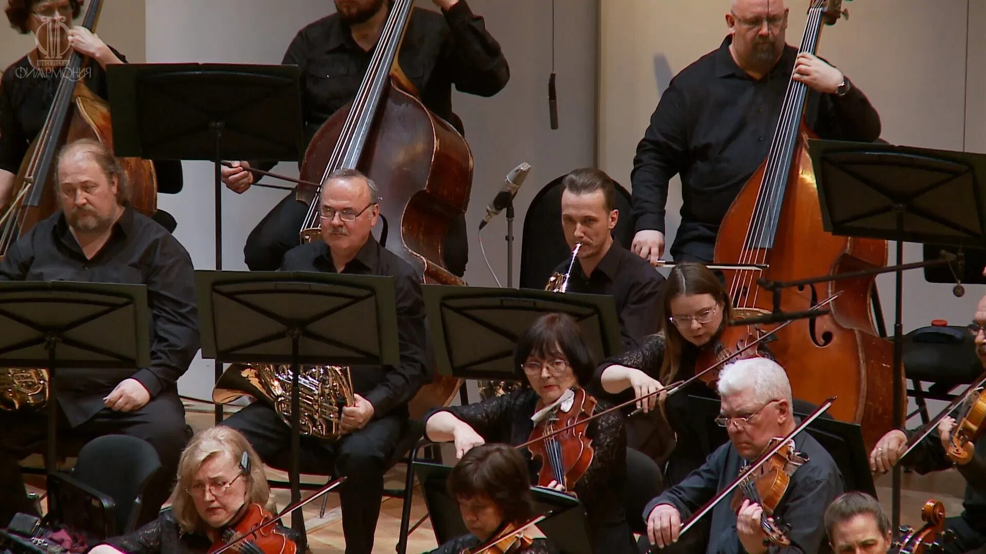 Марый. Марый. Марый. Екатерина королькова новосибирск. Марую.