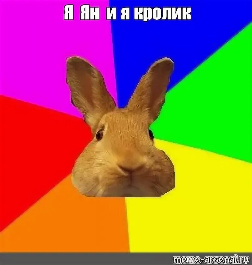 Rabbit memes. Кролик Мем. Мемы с кроликами. Крольчиха Мем. Кролик открытка Мем.