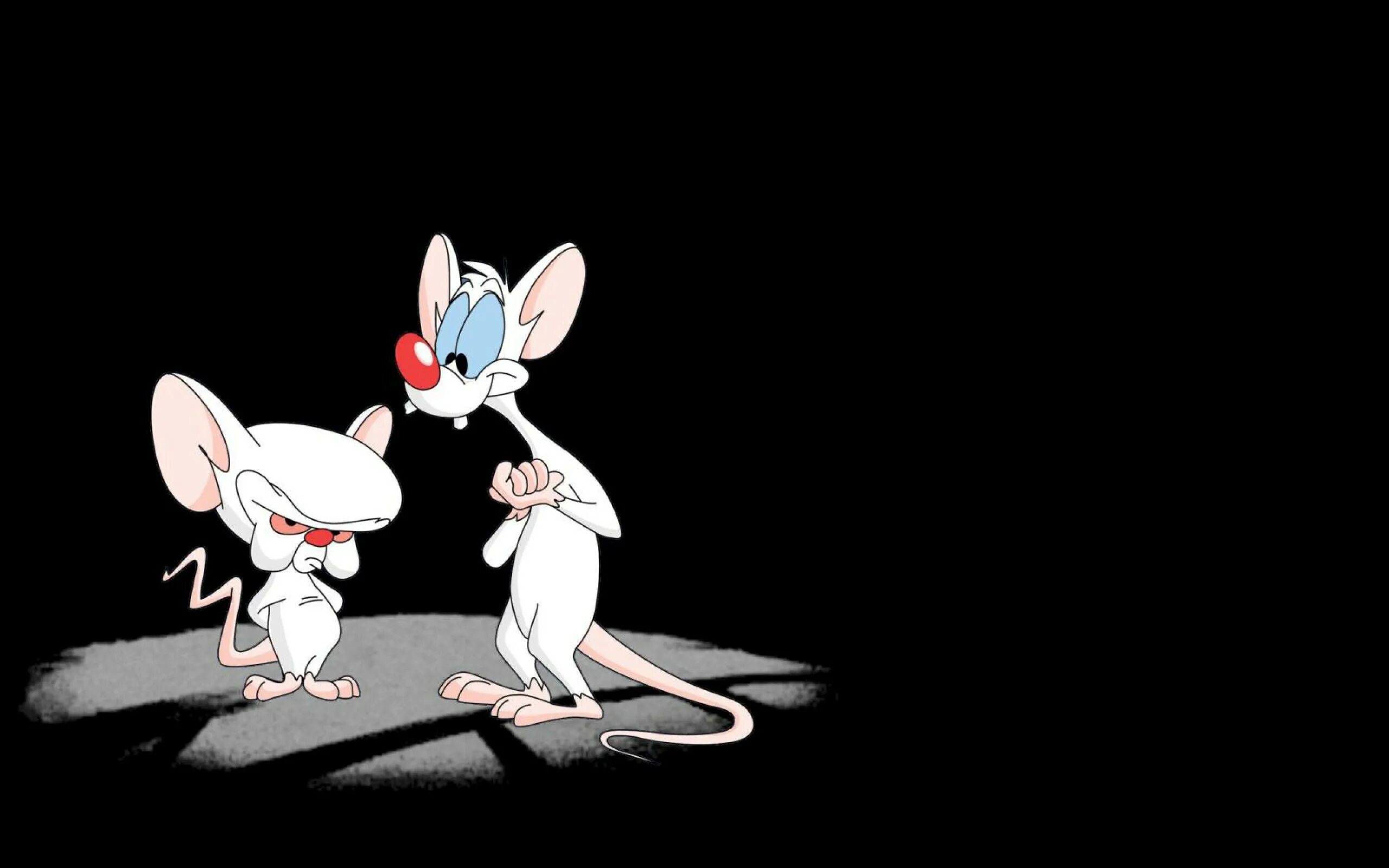 Пинки и Брейн пытаться захватить мир. Мыши захватывают мир.