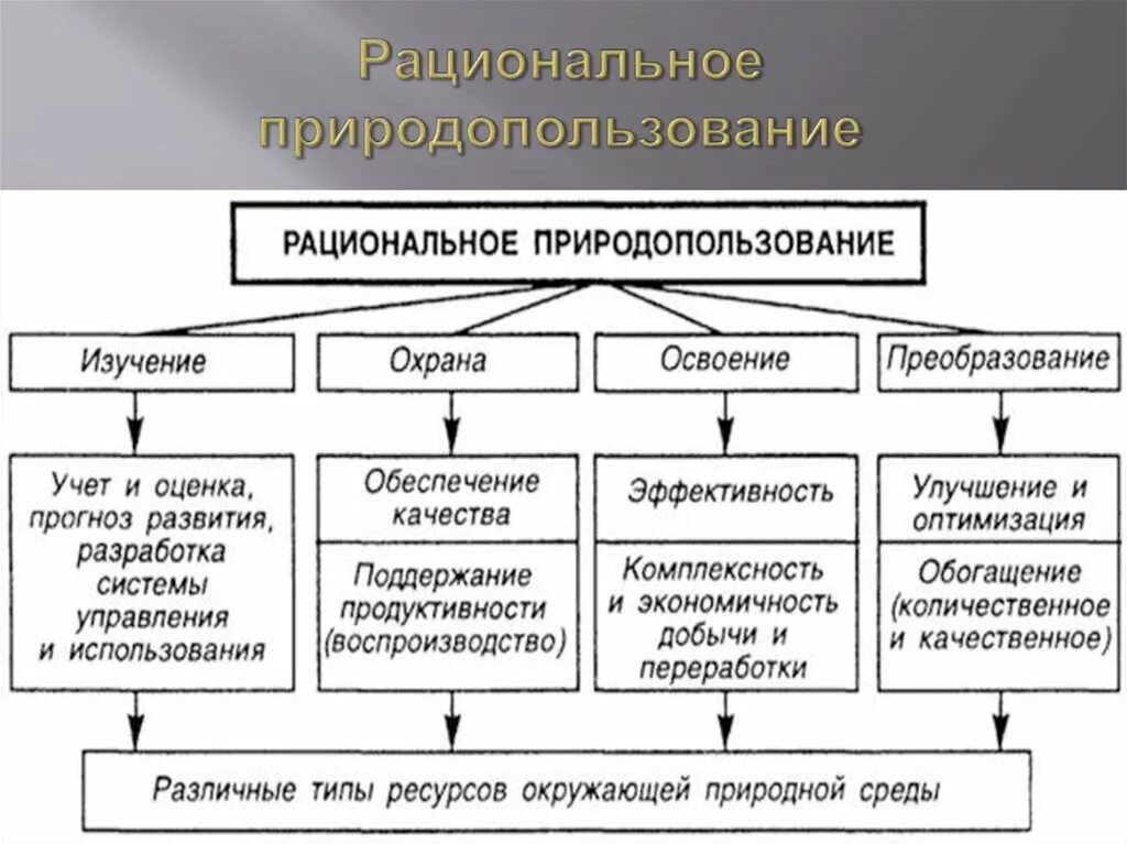 Принципы рационального природопользования таблица. Принципы рационального использования природных ресурсов таблица. Направления рационального природопользования таблица. Рациональное природопользование схема. Рациональное использовать природных ресурсов