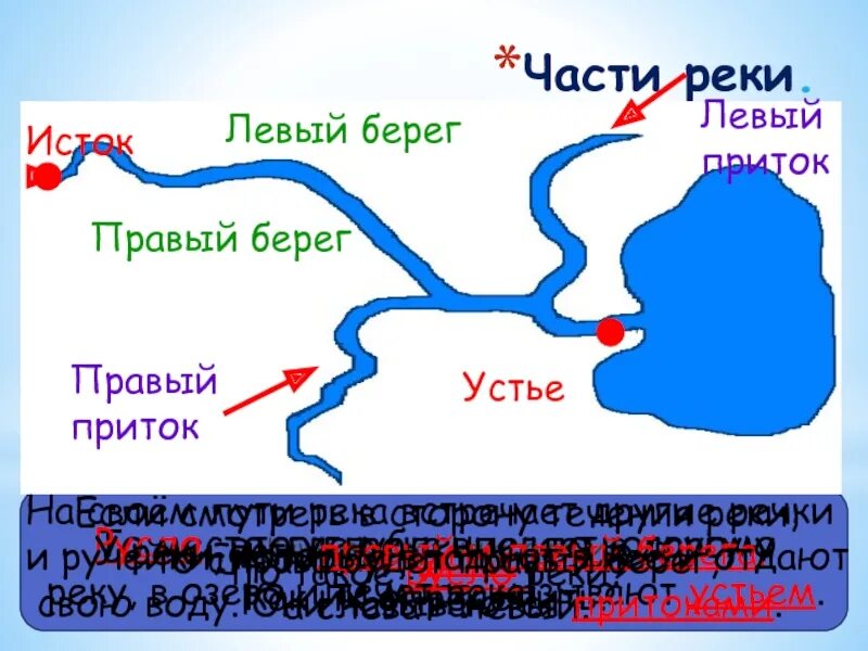 Крупные правые и левые притоки. Река Волга Исток и Устье притоки. Волга Исток Устье притоки.