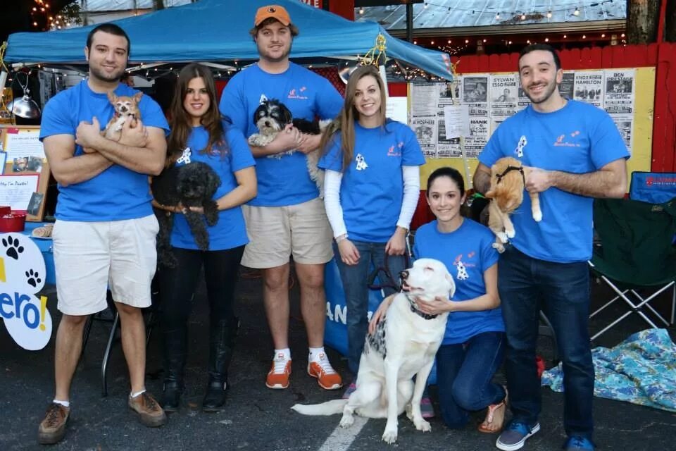 Volunteers help animals. Анимал шелтер. Animal Shelter Volunteer. Фандрайзер животных. Дог шелтер Солнцево.