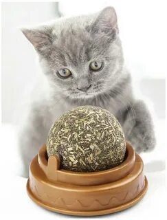 Кошачья оптом