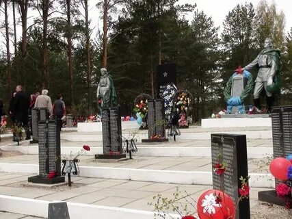Рп5 хвойная новгородская на неделю