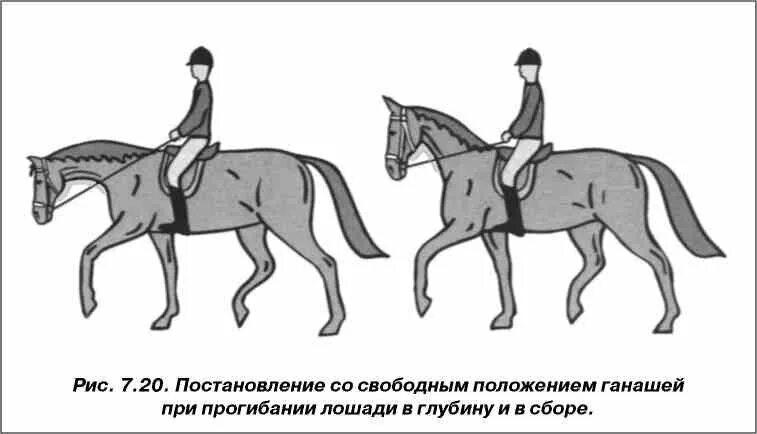 Наездник отличающийся отвагою искусством управлять конем