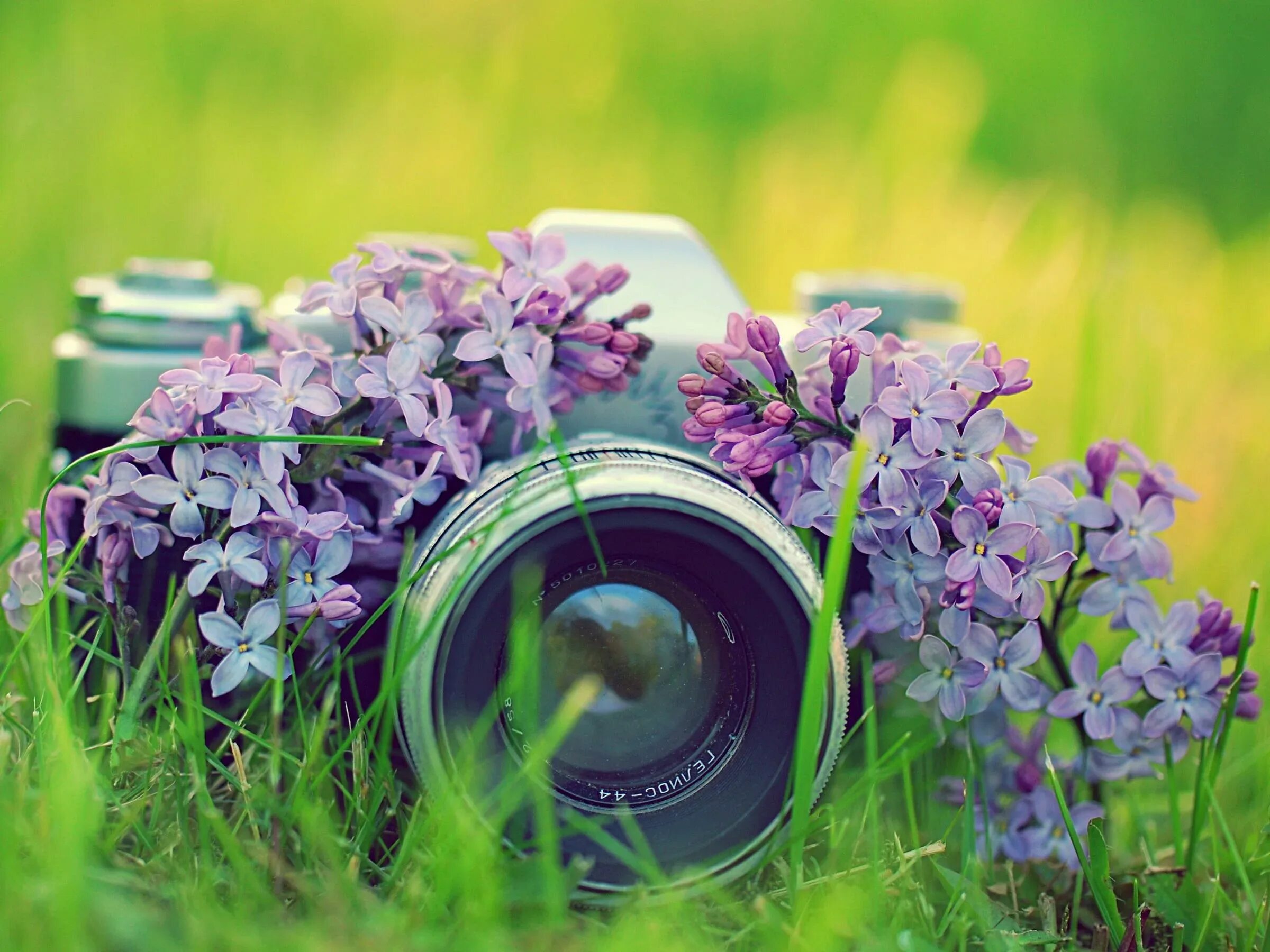 Ее настроение цвета май. Фотоаппарат на красивом фоне. Фотоаппарат на природе. Фотоаппарат лето.
