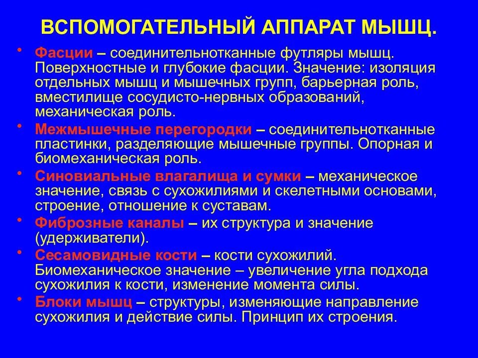 К вспомогательным функциям относятся