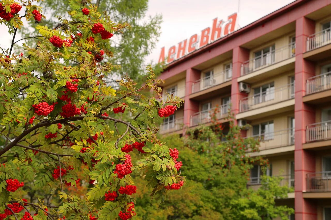 Леневка Нижний Тагил. Профилакторий Леневка. Санаторий Леневка. Пансионат Леневка Нижний Тагил. Санаторий леневка нижний тагил сайт