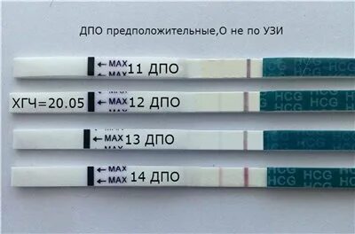 Почему тест положительный хгч отрицательное