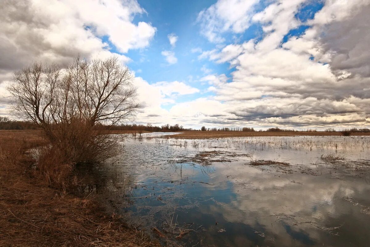 Пасмурный день весной. Апрель природа. Пейзаж пасмурно. Пасмурный пейзаж. Пасмурный день весной.