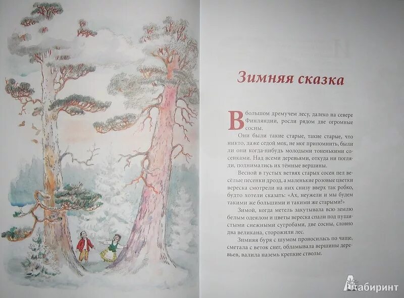 У старой сосны что хотел сказать автор. Сакариас Топелиус зимняя сказка. Ц Топелиус зимняя сказка. Сказка про 2 сосны Топелиус. Зимняя сказка читать.