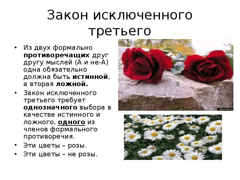 Пример исключенного третьего. Закон исключенного третьего примеры. закон исключенного третьего в логике. закон исключения третьего формула.