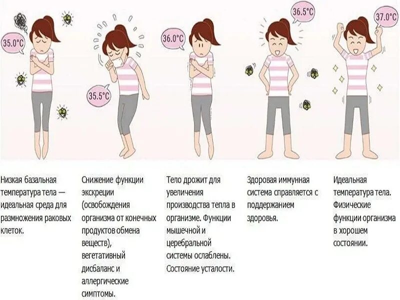 Почему человек все время хочет спать. Постоянная сонливость и усталость причины. Усталость вялость сонливость причины у женщин. Постоянная усталость и сонливость у женщин причины. Причины постоянной усталости.