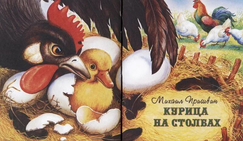 Пришвин изобретатель. М м пришвин курица на столбах. Курица на столбах картинки. М м пришвин курица на столбах. Рассказ курица на столбах пришвин.