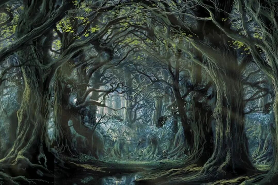 Лихолесье толкин. Воин в лесу. Lake in forest middle. Great prince if the forest art. School cafeteria.