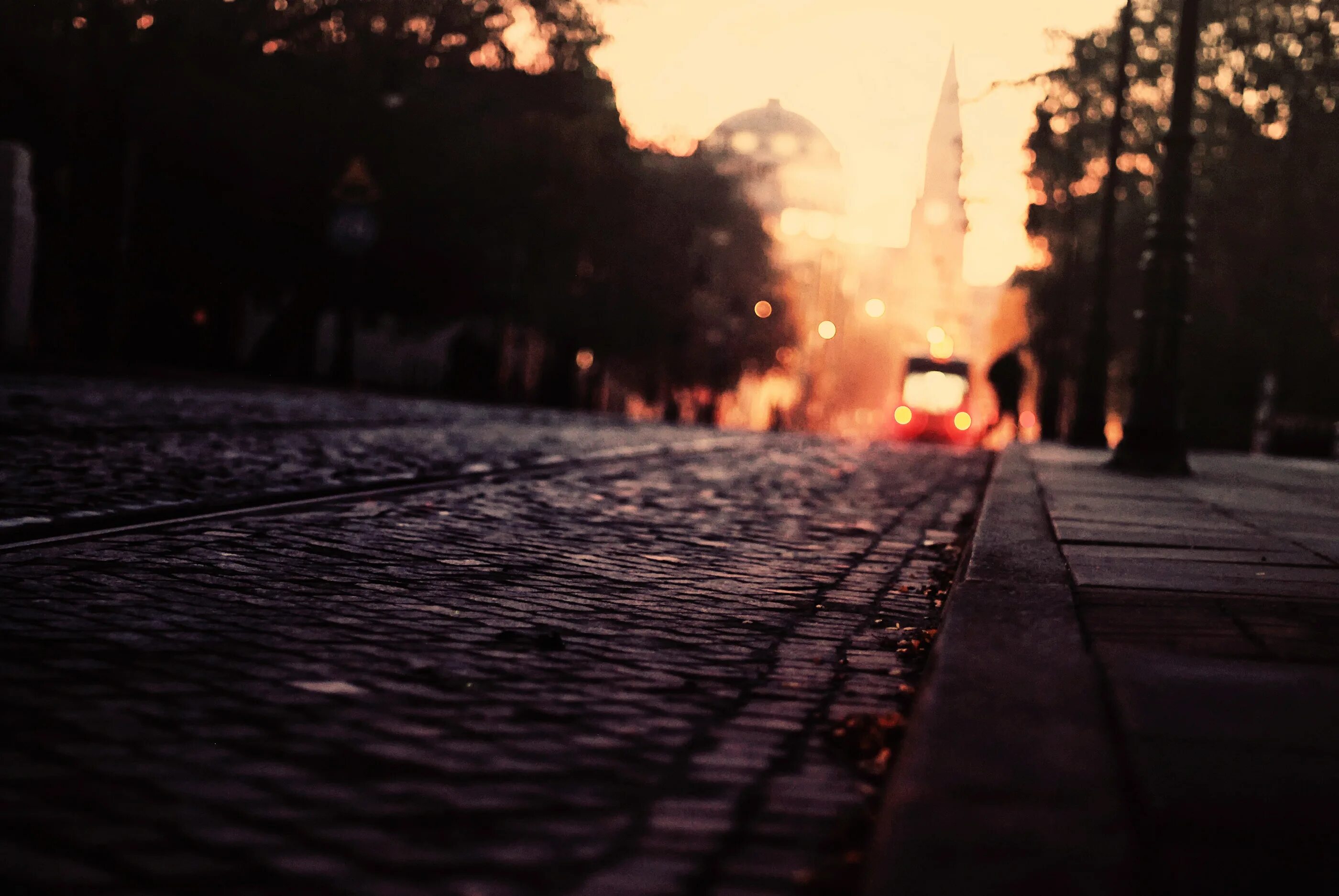 The trees fall across the road. Дорога вечером. Рассвет после дождя. Вечерняя улица фон. Закат дорога город.