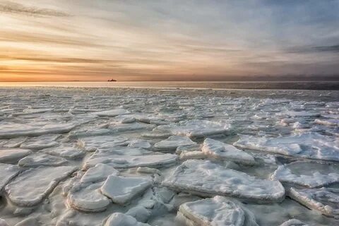 В белом море соленая вода