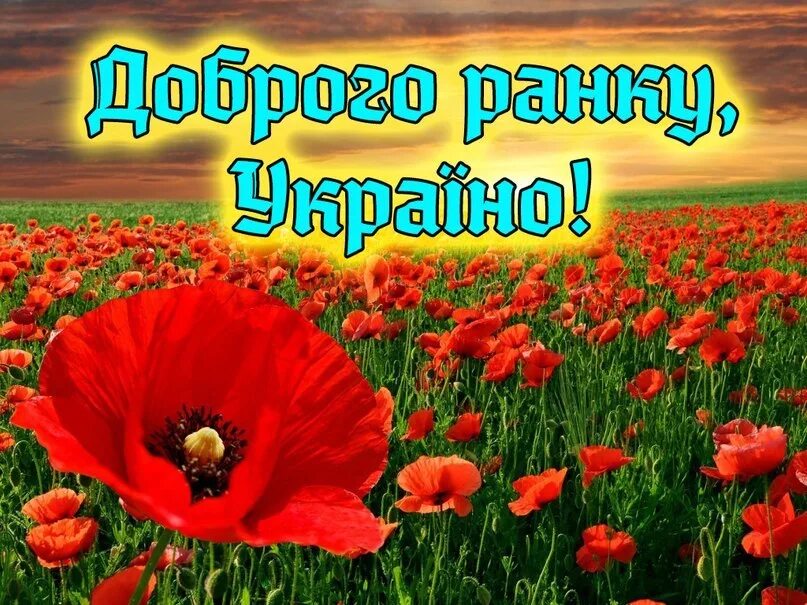 Побажання доброго ранку. Добрый Ранок Украина. Доброго ранку гарного дня. Картинка доброго ранку на укр.мови. Пожелания добра на украинском языке