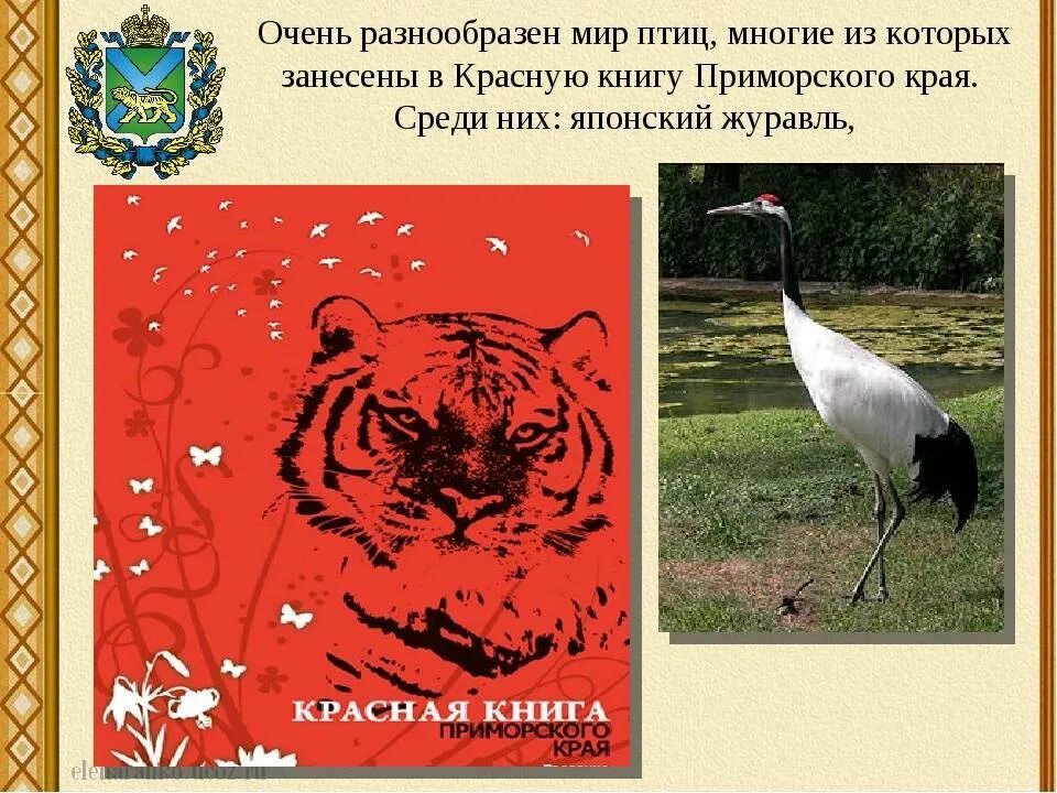 Песни занеси меня в красную книгу. Красная книга Приморского края. Красная книга Приморского края книга. Красная книга Приморского края обложка. Животные красной книги Приморского края.