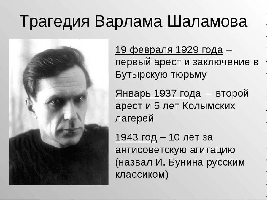 Шаламов 1929. Шаламов портрет.