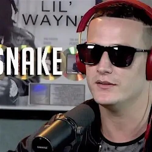 Snake mp3. Snake mp3
