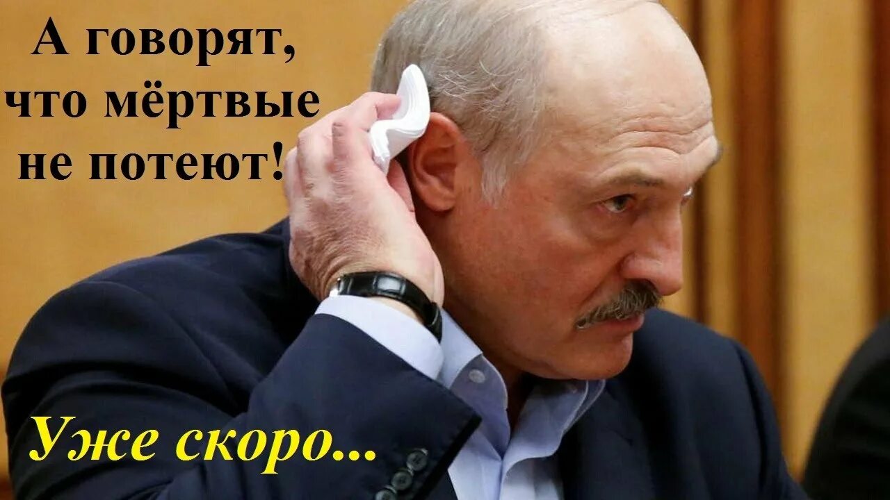 Дойдет до лукашенко. Лукашенко 1991. лукашенко в профиль. прическа лукашенко.