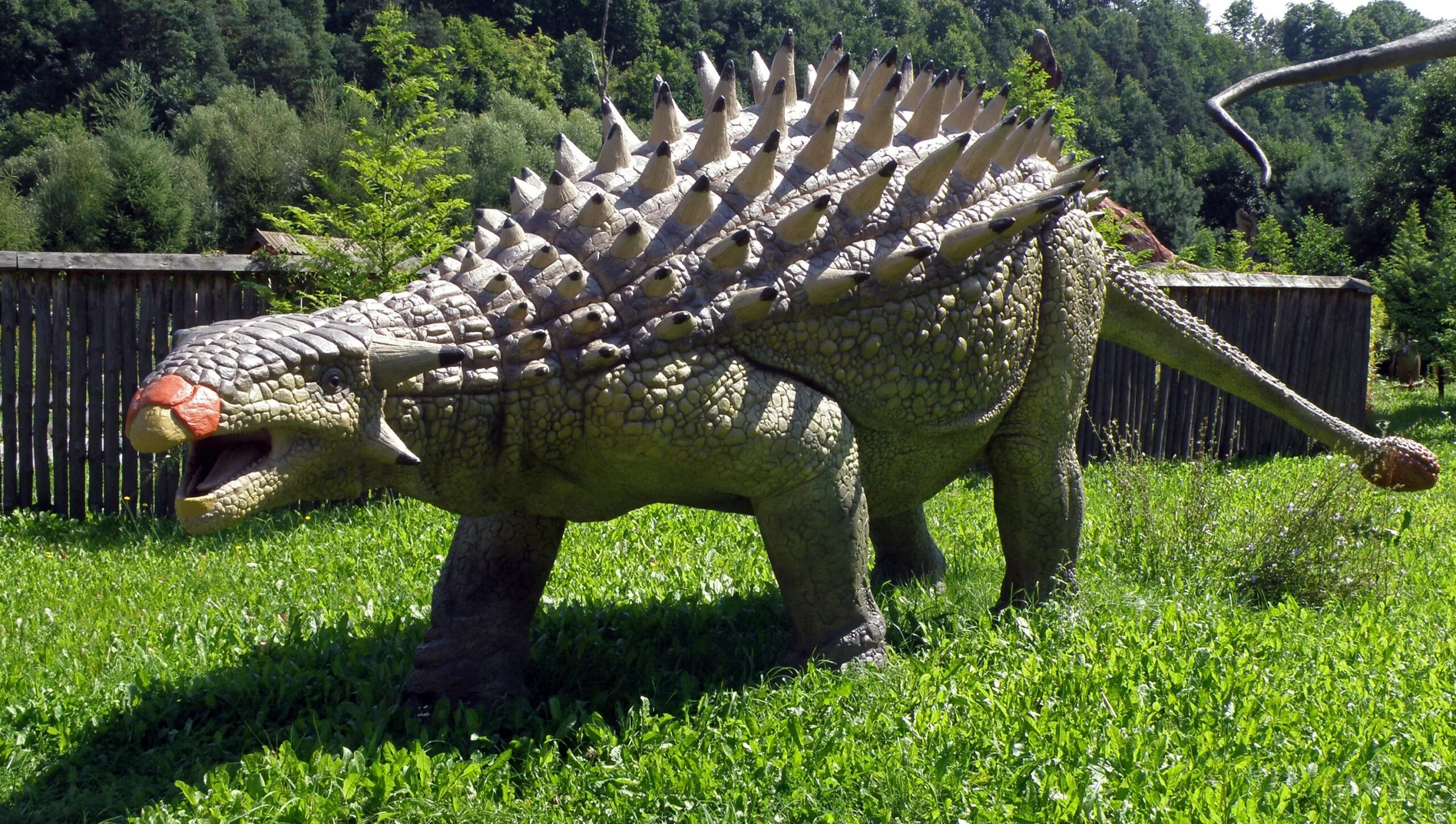 Анкилозавр динозавр. Анкилозавры (панцирные динозавры). Парк динозавров Анкилозавр. Стегозавр парк Юрского периода. Травоядные динозавры с шипами