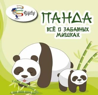 Panda book