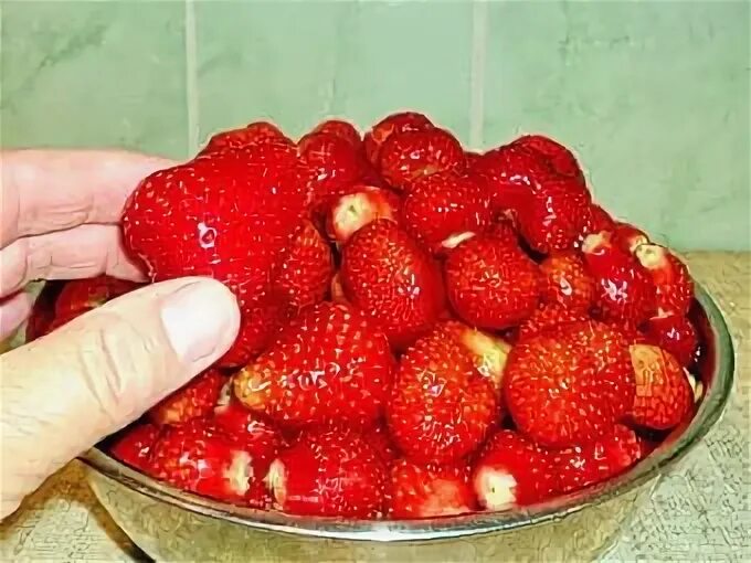 Клубника при диабете можно. Клубника для похудения. Клубника полезна при сахарном диабете. Клубника стоковое фото. Клубника при диабете можно.