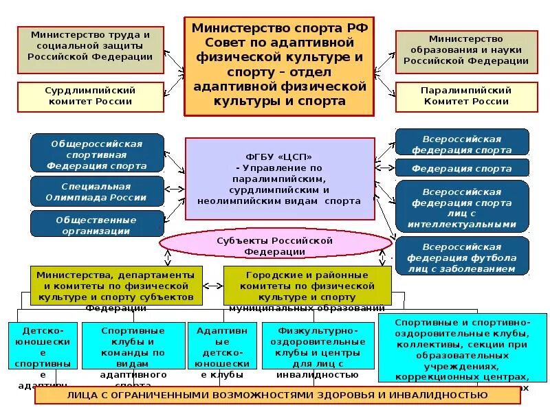 Образование в области спортивной