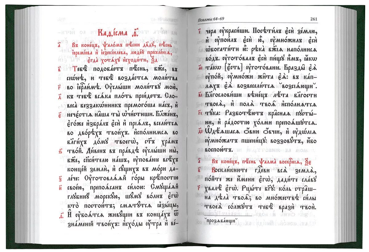 Кафизма 10 читать на церковно. Молитвослов Псалтирь на церковно-Славянском. Книга Псалтырь на старославянском языке. Псалтырь ЦСЯ. Молитвослов и Псалтырь на церковнославянском языке.