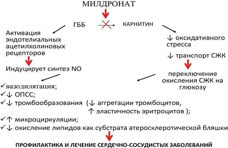 Механизм действия мельдония. Мельдоний механизм действия фармакология. Милдронат механизм действия. Механизм действия милдроната.