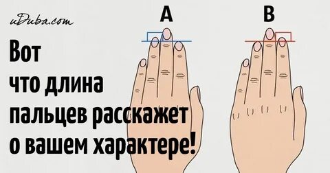 Что значит если указательный палец длиннее