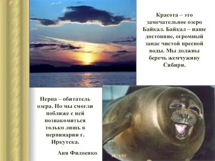 Красота сообщение
