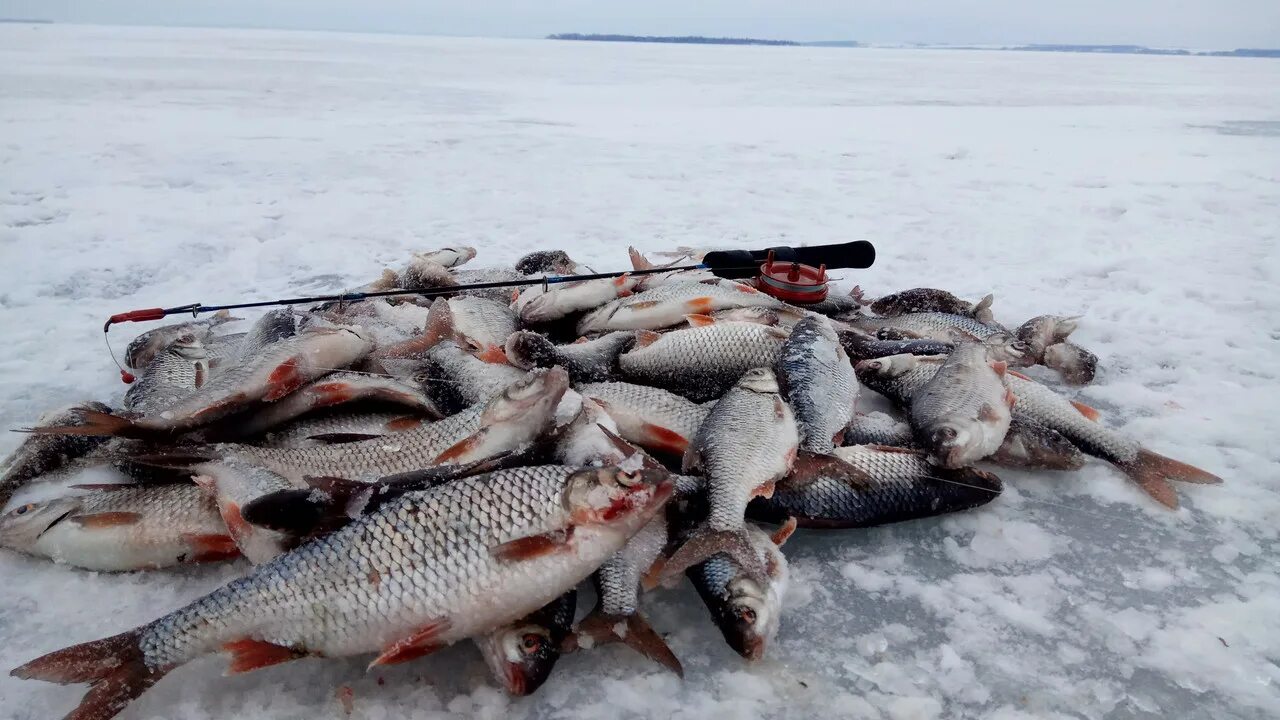 Рыбалка на Черемшане. Никольское на Черемшане берег. Черемшан Ульяновская область рыбалка. Рыбалка в Ульяновской области зимой. Никольское на черемшане ульяновская погода