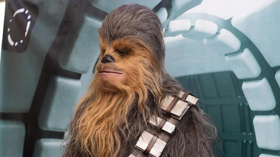 Чубака из звездных войн. Чубака это кто. Чубака это кто. Star wars чубакка. Чубака это кто.