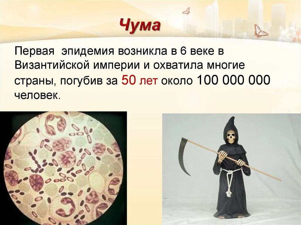 Сообщение о чуме. Чума кто это такая. Кратко о чуме. Сообщение о чуме по биологии. Доклад о чуме.