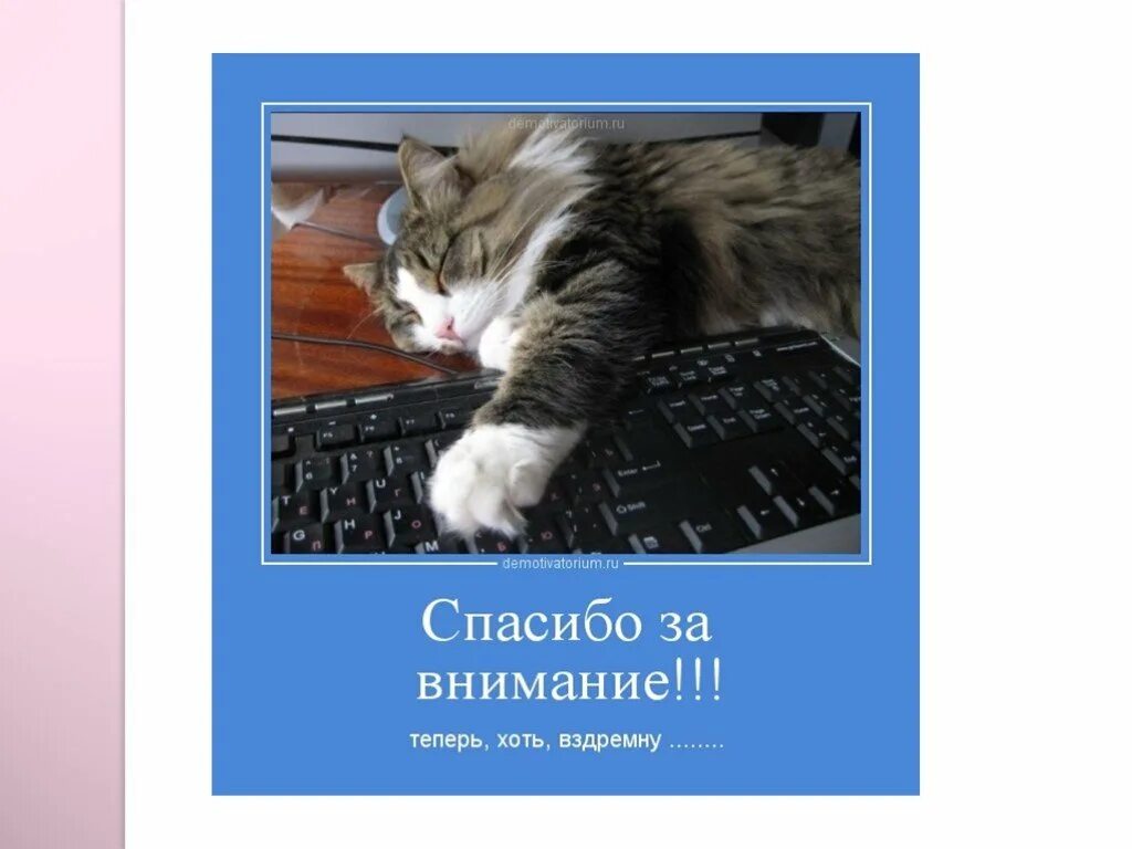 Спасибо за внимание котик. Спасибо за внимание для презентации с котиком. Спасибо за внимание котки. Слайд спасибо за внимание с котиком. Теперь способный